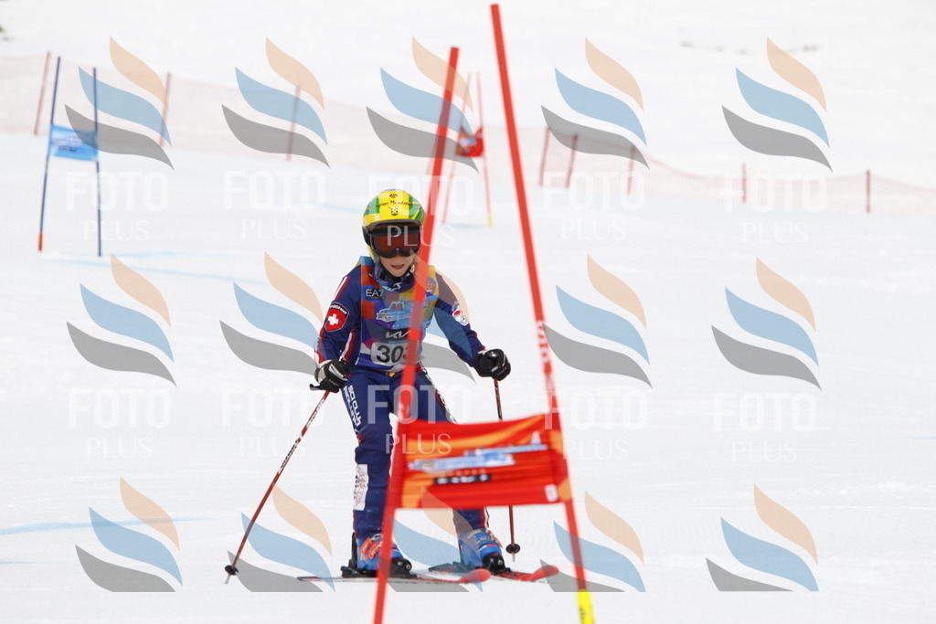 _U3G7544 | holidayphoto