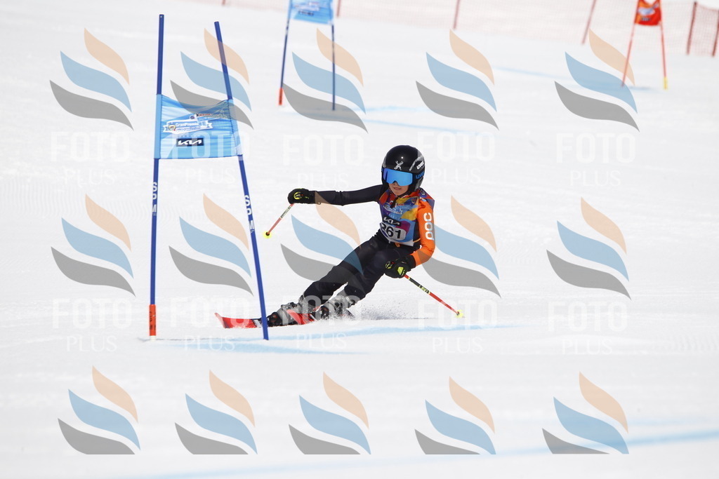 _U3G6530 | holidayphoto