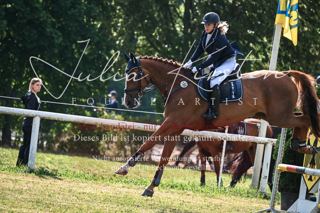 DSC_7757 | Pferde- und Turnierfotografie in Westsachsen. Pferdeportraits, Auftragszeichnungen und intuitive Kunst.