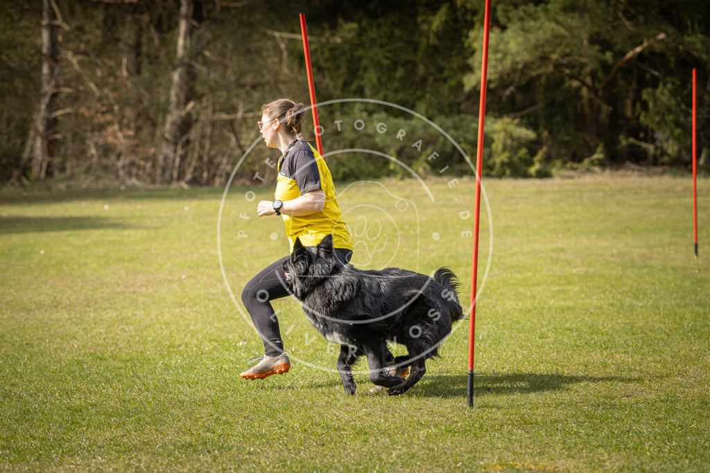 Pfotenfotografie_DV3A0103 | Hundefotografie, Tierfotograf, Pfotenfotografie, Fotoshooting Hund, Hunde Portrait, Hundesport, Hundeportraits, Heideshooting, Hunde, Sportfotograf, Hundefotograf, Turnierhundsport, THS,  - Realisiert mit Pictrs.com
