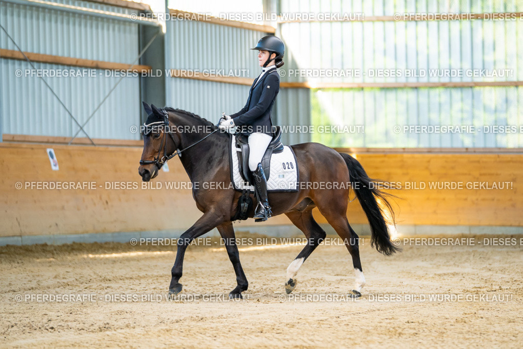 DSC06108-Verbessert-RR | Pferdegrafie