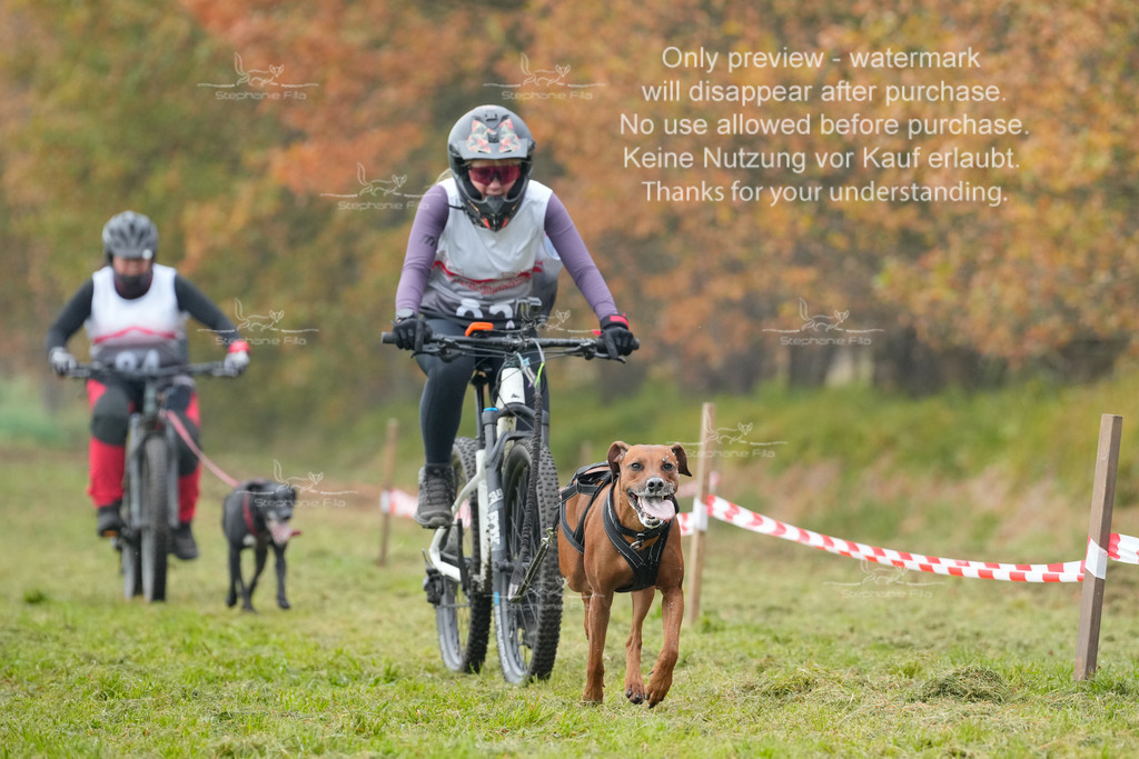 Visbeck_Sa_Bike-286 | stephaniefillaphotographie - Realisiert mit Pictrs.com