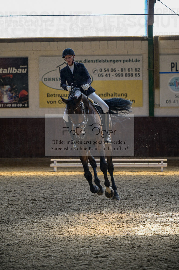 Reitturnier Voxtrup | Entdecke hochwertige Reitturnierfotos von Foto Oger. Professionell, emotional und authentisch – jetzt Lieblingsmomente im Shop bestellen.Deutschlandweite Turnierfotografie. - Realisiert mit Pictrs.com