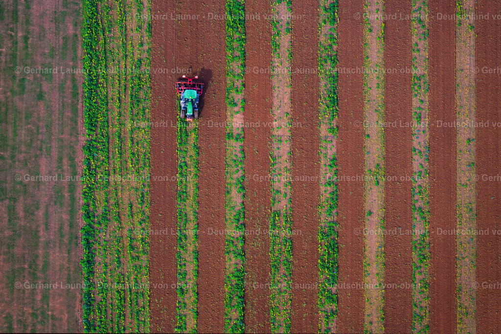 3808326 | Feldbearbeitung bei Eismannsberg