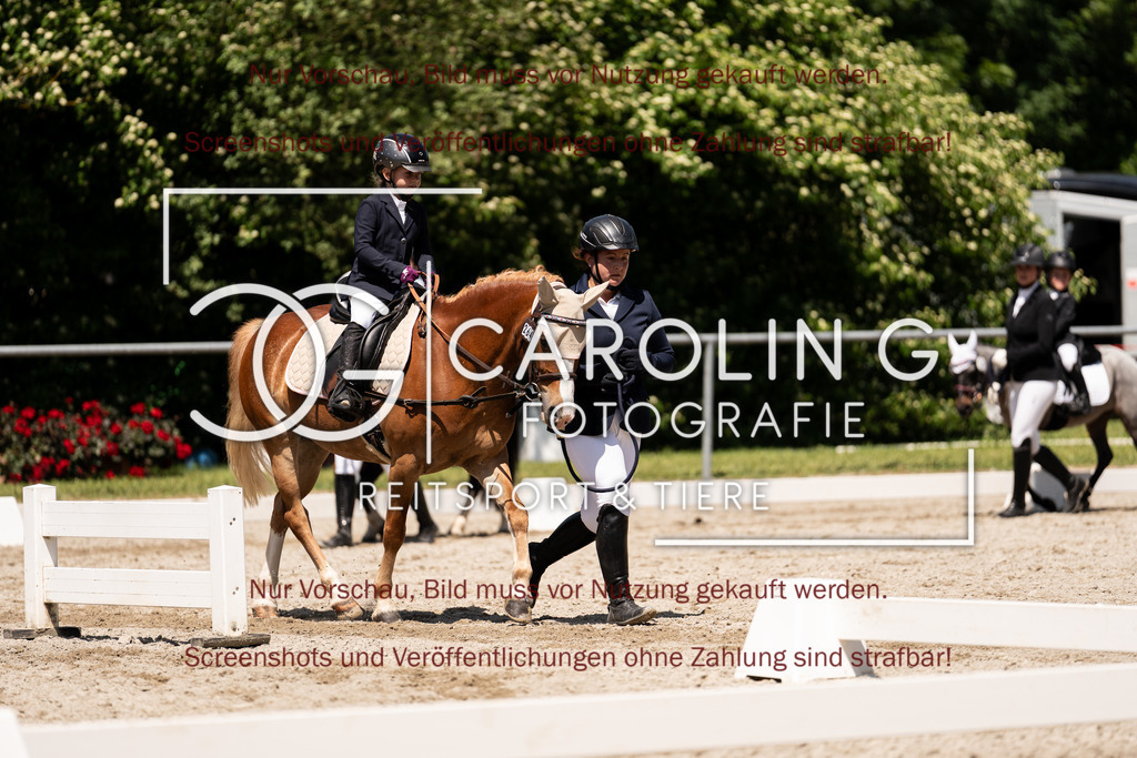 DSC00892 | Turnierfotografin Carolin Gieschke,Reitsport Turnierfotografie Carolin G Fotografie | Turnierfotos aus Kirchheim/Teck, Esslingen, Stuttgart und dem Bodenseekreis