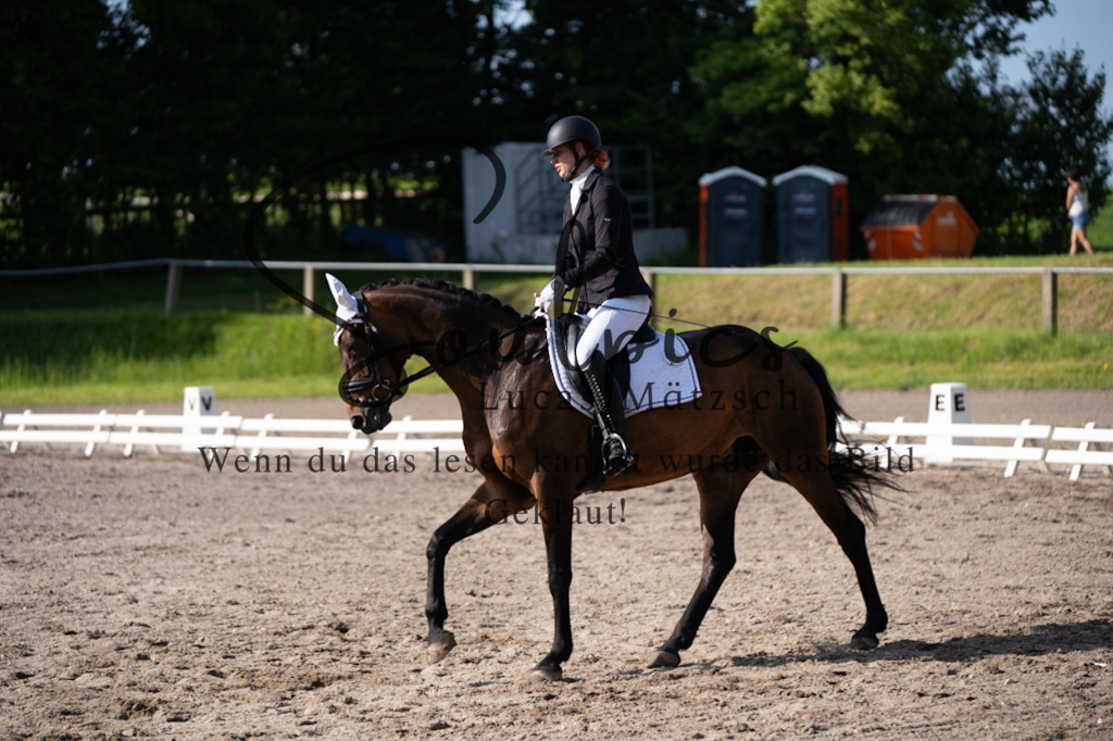 A7V02375 | Pferdefotograf