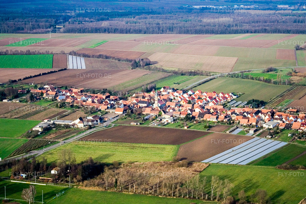 Luftbild: Ortsansicht aus Süden in Erlenbach bei Kandel im Bundesland Rheinland-Pfalz in Deutschland. Foto: IMG_5016.jpg vom 17.12.2006 durch Werner Riehm/FLY-FOTO.de