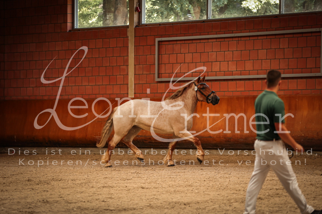 SaFL00080 | Leoni Ertmer Photography - Realisiert mit Pictrs.com
