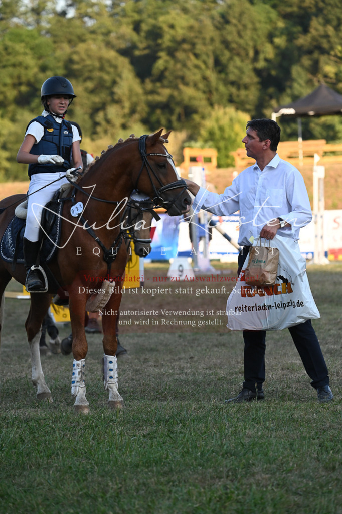 DSC_9269 | Pferde- und Turnierfotografie in Westsachsen. Pferdeportraits, Auftragszeichnungen und intuitive Kunst.