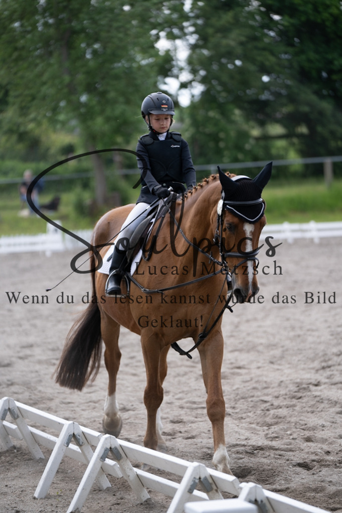 A7V02897 | Pferdefotograf