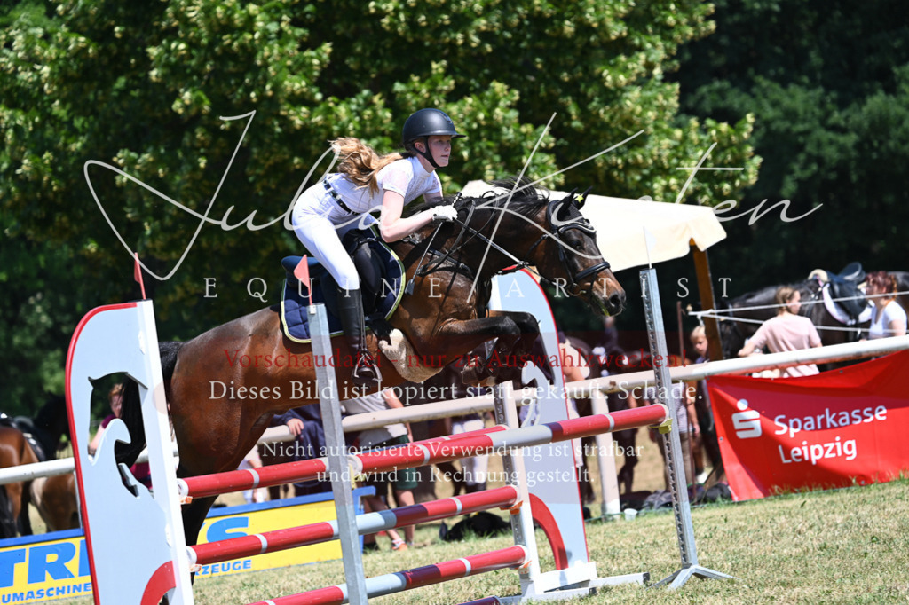 DSC_0796 | Pferde- und Turnierfotografie in Westsachsen. Pferdeportraits, Auftragszeichnungen und intuitive Kunst.