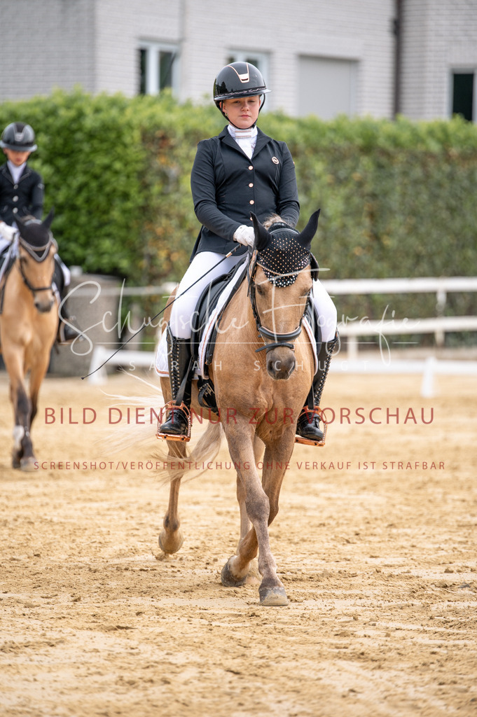 Schugtsche-Aluta25-40.DressurprfA_-364 | Schugtsche Fotografie - Realisiert mit Pictrs.com