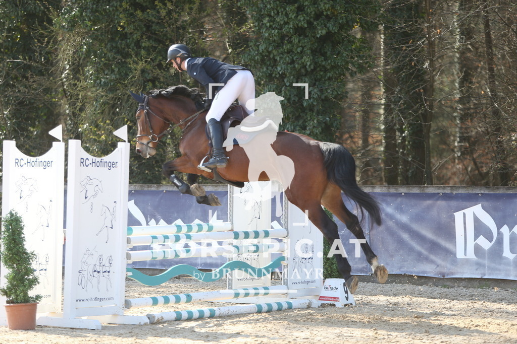 DL2Q0653 | Willkommen bei Brunnmayr - Design & Fotografie – Ihrem Spezialisten für Reitturniere und Pferdeveranstaltungen in Oberösterreich, Salzburg und Bayern! Seit über 17 Jahren sind wir leidenschaftlich dabei.