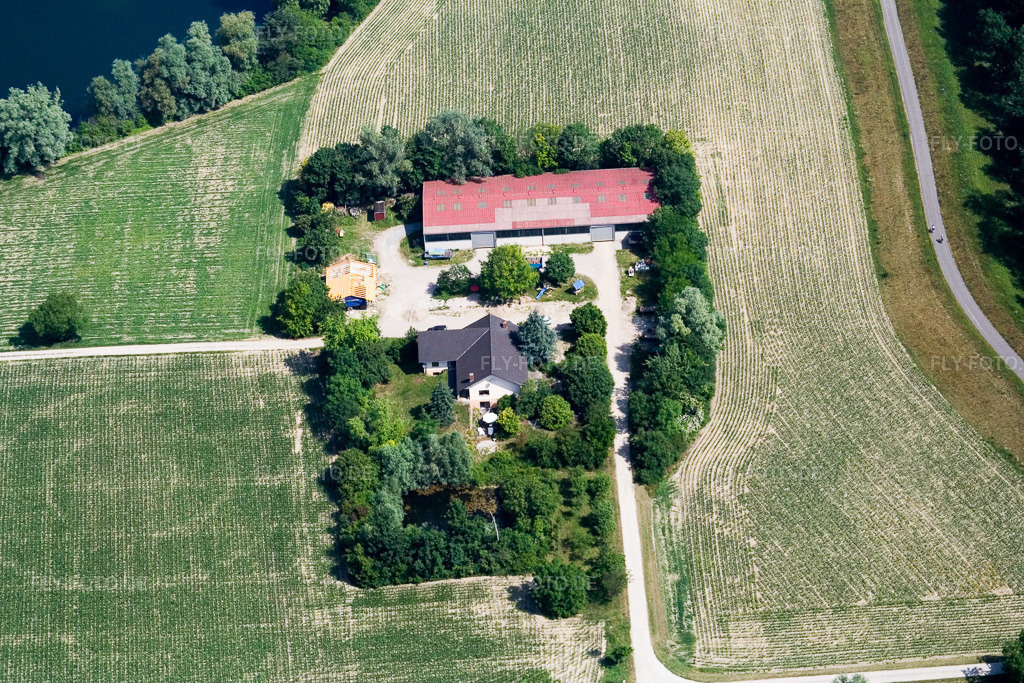 Luftbild: Seehof (Maislabyrinth) in Leimersheim im Bundesland Rheinland-Pfalz in Deutschland. Foto: IMG_2856.jpg vom 18.06.2006 durch Werner Riehm/FLY-FOTO.de
