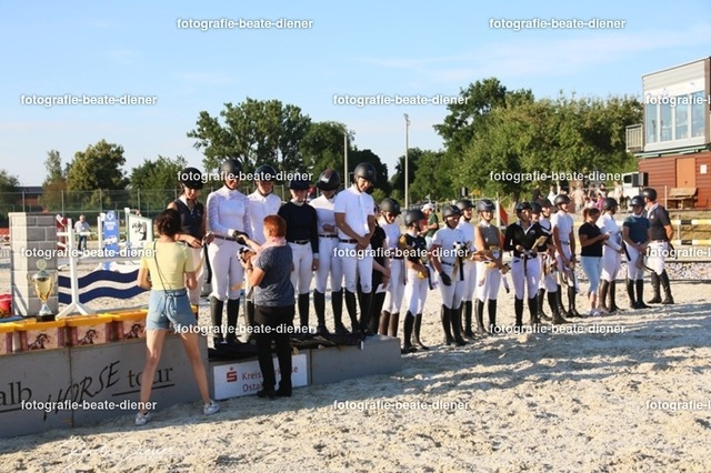OHT 2022 Röhlingen (212) | Fotografie, Tiere, Hunde, Katzen, Pferde, Sportfotografie, Fotosession, Tierfotografie, Turnierfotografie, Fotografin, Fotograf - Realisiert mit Pictrs.com