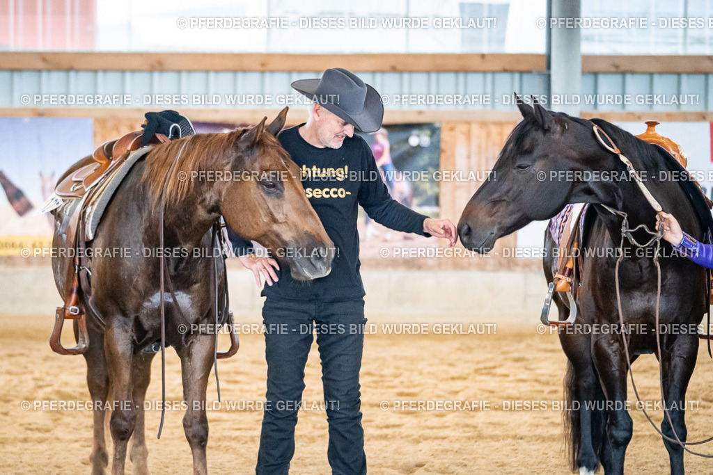 DSC09429 | Pferdegrafie