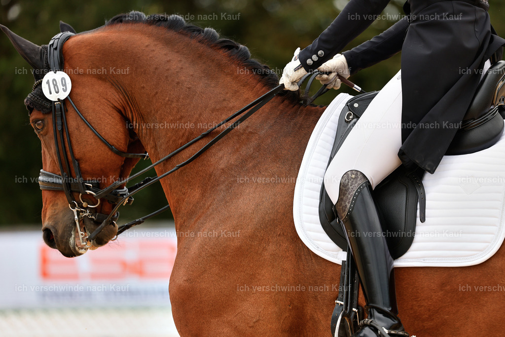 11-189-Dressur S___-StoibPH-913 | working equitationturnier fotograf videograf stoibphotography marixx film working equitation deutschland reitsport turnierfotografie eventfotografie equestrian events