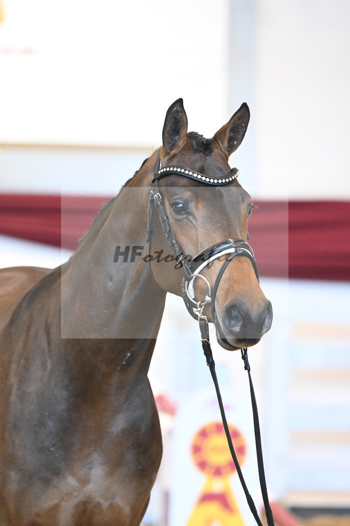 Kat-Nr. 60 v. Zinedream_Schreder_66221356 | hf-fotografie - Realisiert mit Pictrs.com