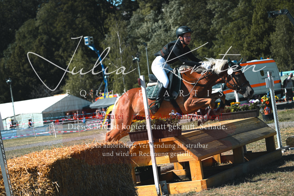 DSC_8073 | Pferde- und Turnierfotografie in Westsachsen. Pferdeportraits, Auftragszeichnungen und intuitive Kunst.
