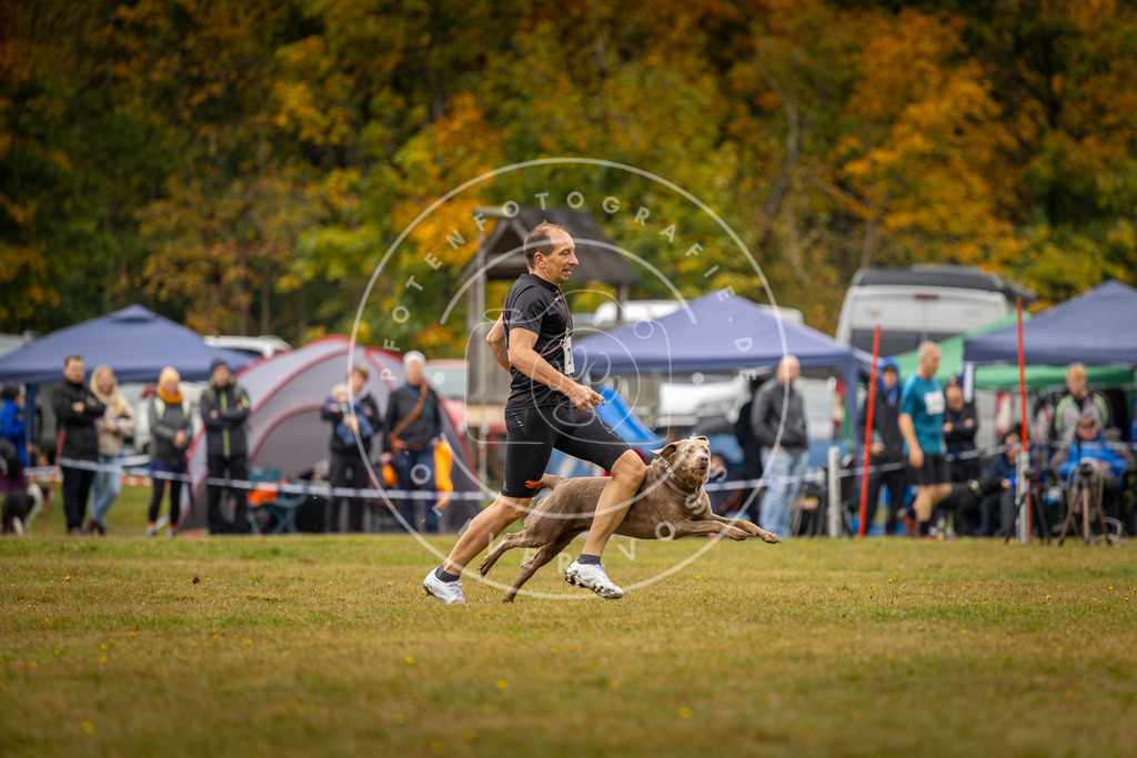 Pfotenfotografie_DV3A2278 | Hundefotografie, Tierfotograf, Pfotenfotografie, Fotoshooting Hund, Hunde Portrait, Hundesport, Hundeportraits, Heideshooting, Hunde, Sportfotograf, Hundefotograf, Turnierhundsport, THS,  - Realisiert mit Pictrs.com