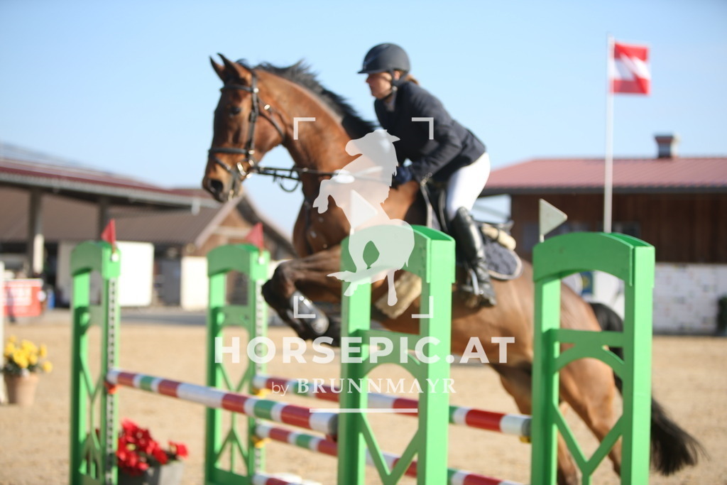 AS8V4842 | Willkommen bei Brunnmayr - Design & Fotografie – Ihrem Spezialisten für Reitturniere und Pferdeveranstaltungen in Oberösterreich, Salzburg und Bayern! Seit über 17 Jahren sind wir leidenschaftlich dabei.