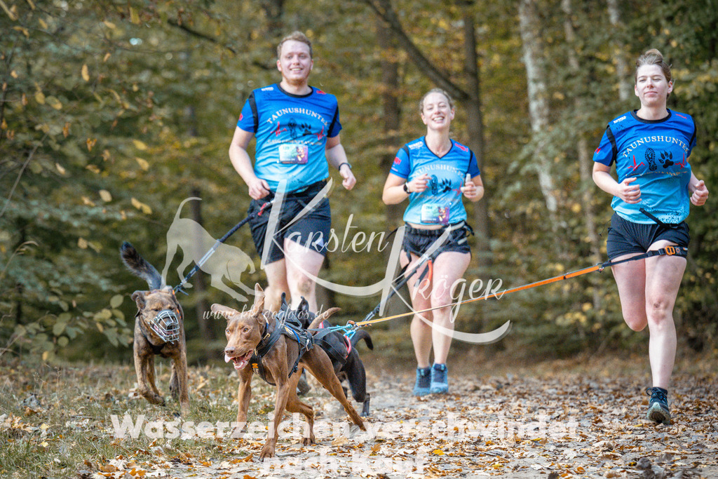 1312_ZZ97665 | kk-dogfotos