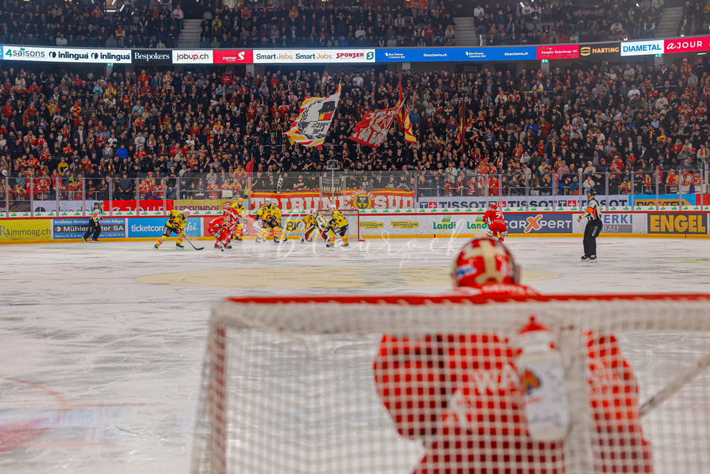 EHCB vs SCB 20260110_wb-3491 | Sportbilder, Sportfotograf, Hochzeits- und Eventfotografin, Flugshows, Portraits und Tiershooting, Aviation, Downhill, Nationalleague, Swissleague, International