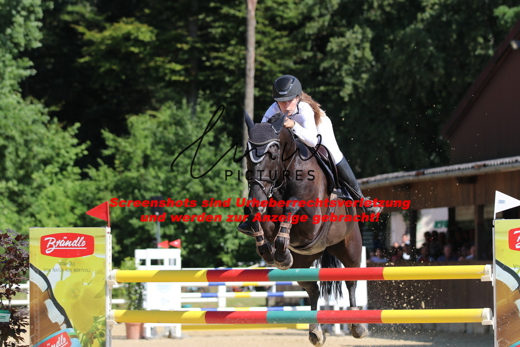 IMG_3086 | lmwpictures - Realisiert mit Pictrs.com