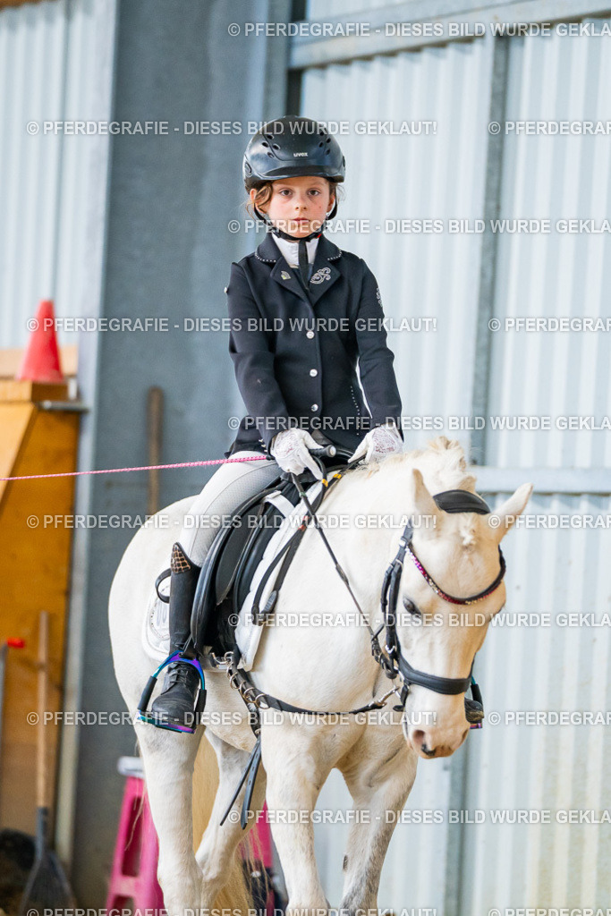 DSC01039 | Pferdegrafie