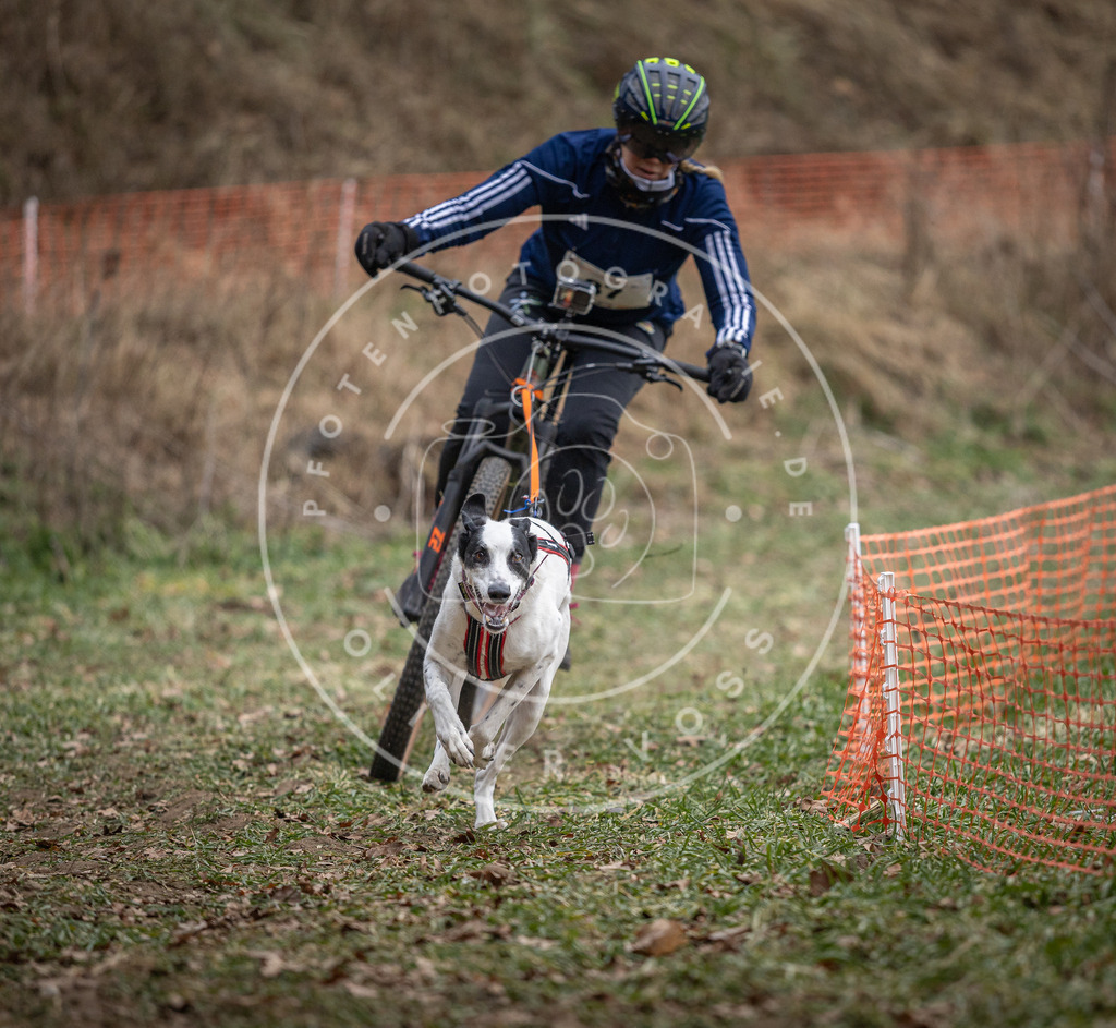 Pfotenfotografie_DV3A9804 | Hundefotografie, Tierfotograf, Pfotenfotografie, Fotoshooting Hund, Hunde Portrait, Hundesport, Hundeportraits, Heideshooting, Hunde, Sportfotograf, Hundefotograf, Turnierhundsport, THS,  - Realisiert mit Pictrs.com
