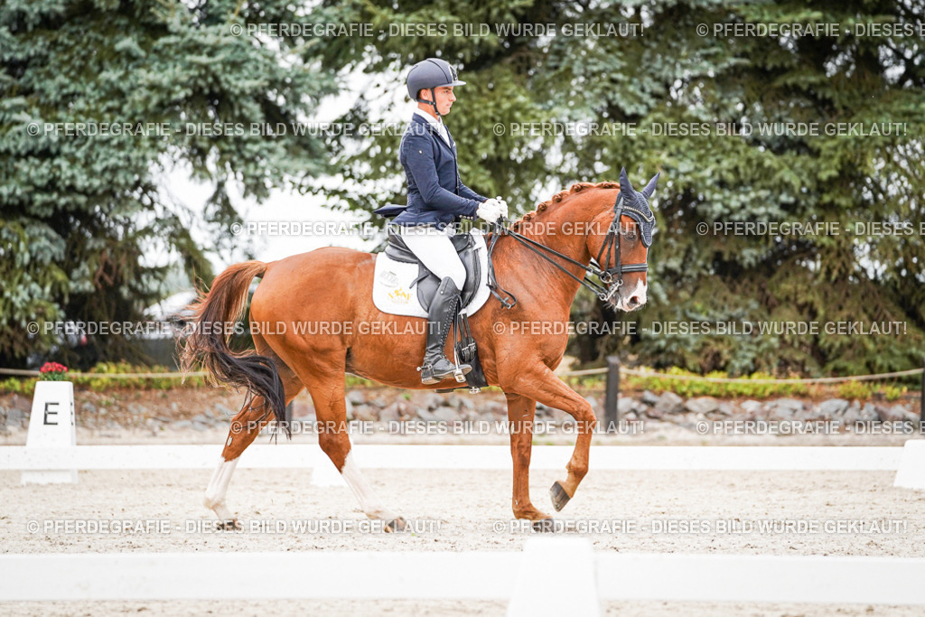 DSC08446 | Pferdegrafie