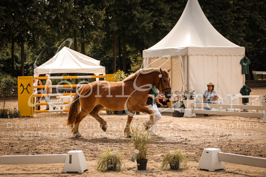 3.Sa00015 | Leoni Ertmer Photography - Realisiert mit Pictrs.com