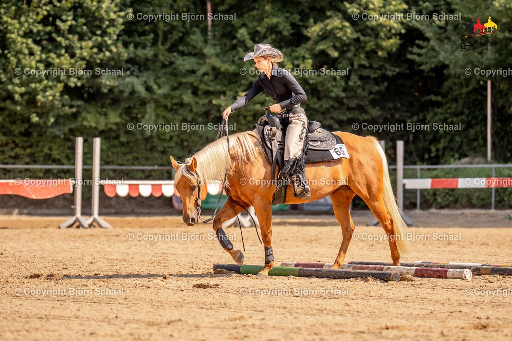 LMS05705 | BS-foto