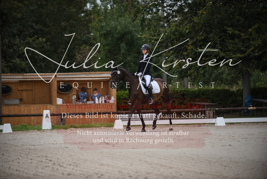 DSC_7929 | Pferde- und Turnierfotografie in Westsachsen. Pferdeportraits, Auftragszeichnungen und intuitive Kunst.