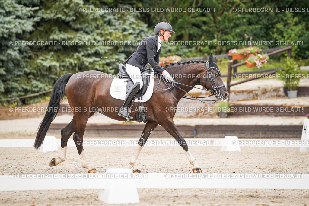 DSC07682 | Pferdegrafie