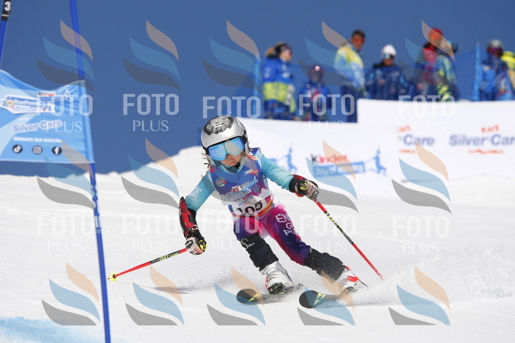 _W1G1578 | holidayphoto