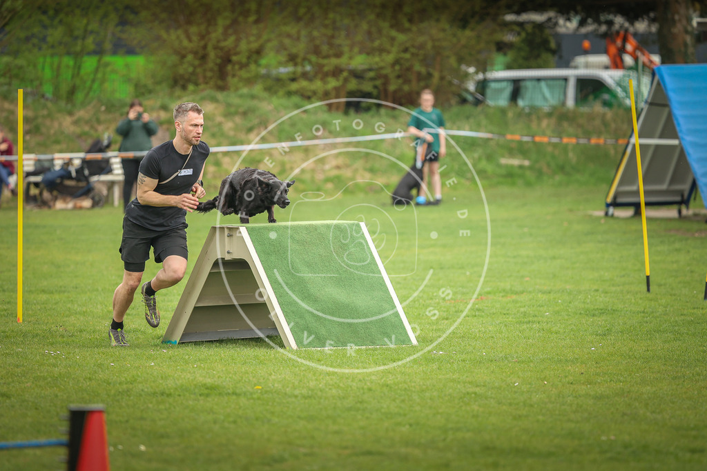 Pfotenfotografie_0L8A1210 | Hundefotografie, Tierfotograf, Pfotenfotografie, Fotoshooting Hund, Hunde Portrait, Hundesport, Hundeportraits, Heideshooting, Hunde, Sportfotograf, Hundefotograf, Turnierhundsport, THS,  - Realisiert mit Pictrs.com