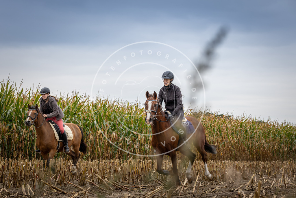 Pfotenfotografie_DV3A6108 | Hundefotografie, Tierfotograf, Pfotenfotografie, Fotoshooting Hund, Hunde Portrait, Hundesport, Hundeportraits, Heideshooting, Hunde, Sportfotograf, Hundefotograf, Turnierhundsport, THS,  - Realisiert mit Pictrs.com