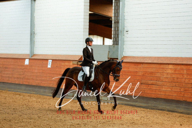 _62_7204 | Turniersportfotografie; Pferdefotografie; Dressurfotografie