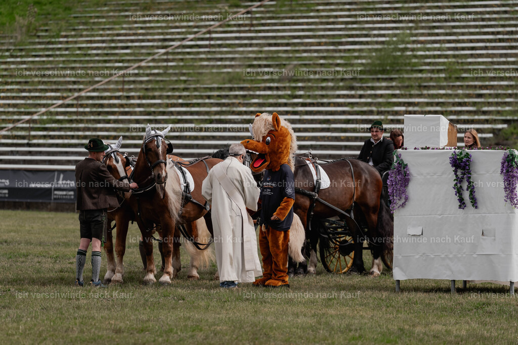 Showprogramm-19 | working equitationturnier fotograf videograf stoibphotography marixx film working equitation deutschland reitsport turnierfotografie eventfotografie equestrian events