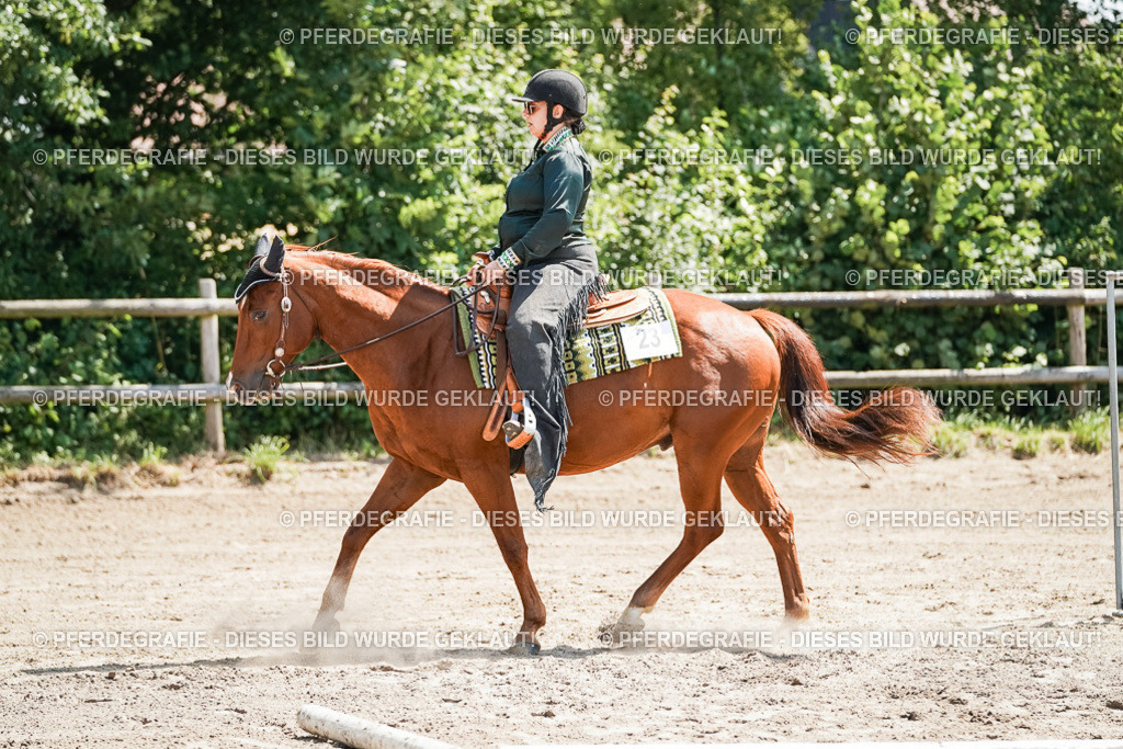 DSC06568 | Pferdegrafie