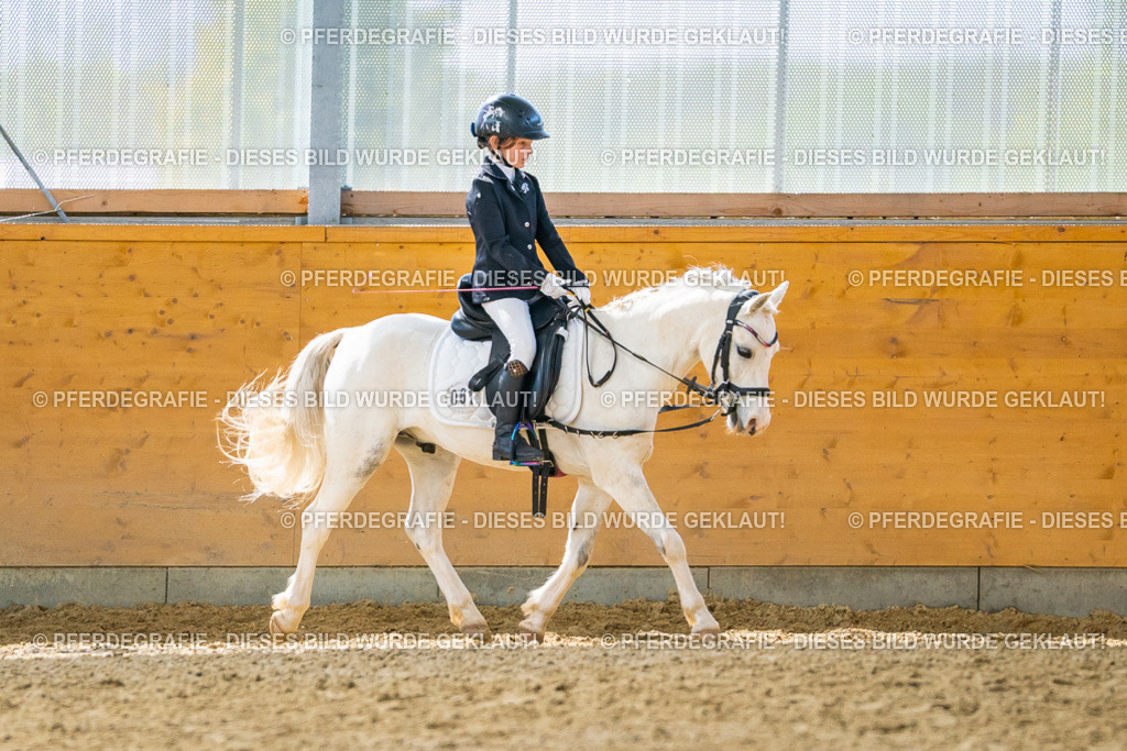 DSC00928 | Pferdegrafie