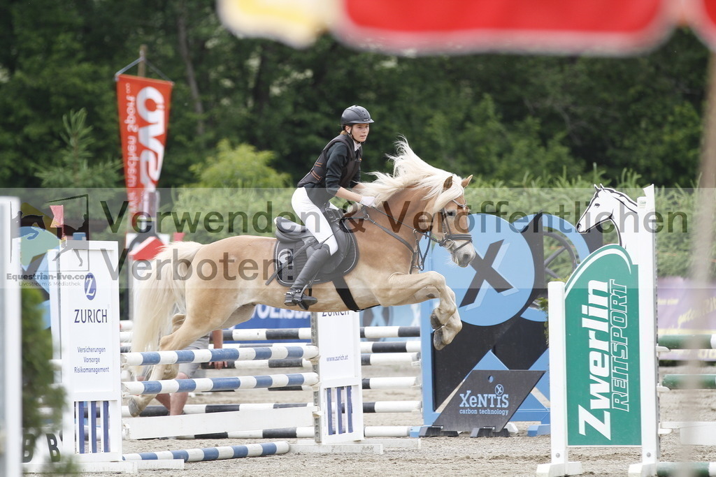 _MG_6498 | equestrian-live-com
