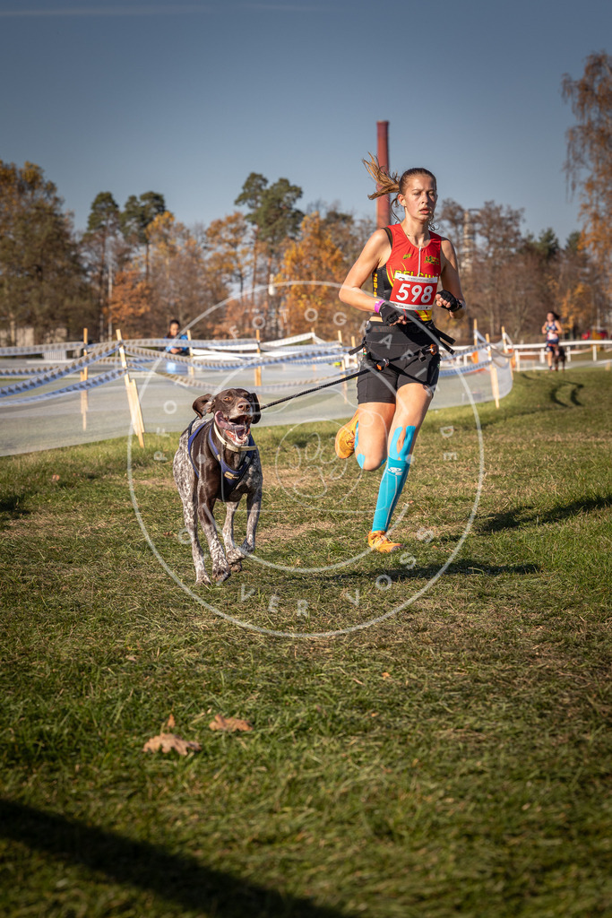 CaniXpix_0L8A8476 | Hundefotografie, Tierfotograf, Pfotenfotografie, Fotoshooting Hund, Hunde Portrait, Hundesport, Hundeportraits, Heideshooting, Hunde, Sportfotograf, Hundefotograf, Turnierhundsport, THS,  - Realisiert mit Pictrs.com