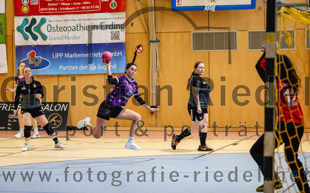 2024-03-23_022_SpVgg_Altenerding_II_gegen_ETSV_09_Landshut | Erding, Deutschland, 23.03.2024:
Handball, Bezirksliga Frauen Altbayern 2023 / 2024, 19. Spieltag, SpVgg Altenerding II gegen ETSV 09 Landshut, Endergebnis: 22:18

Michelle Gruber (SpVgg Altenerding, #7), Tamara Neueder (ETSV 09 Landshut, #13), Yllije Licollari (ETSV 09 Landshut, #12)

Foto: Christian Riedel / fotografie-riedel.net