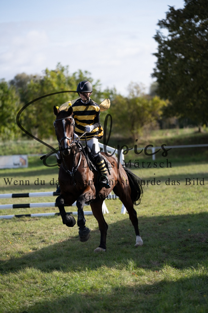 A7V06616 | Pferdefotograf