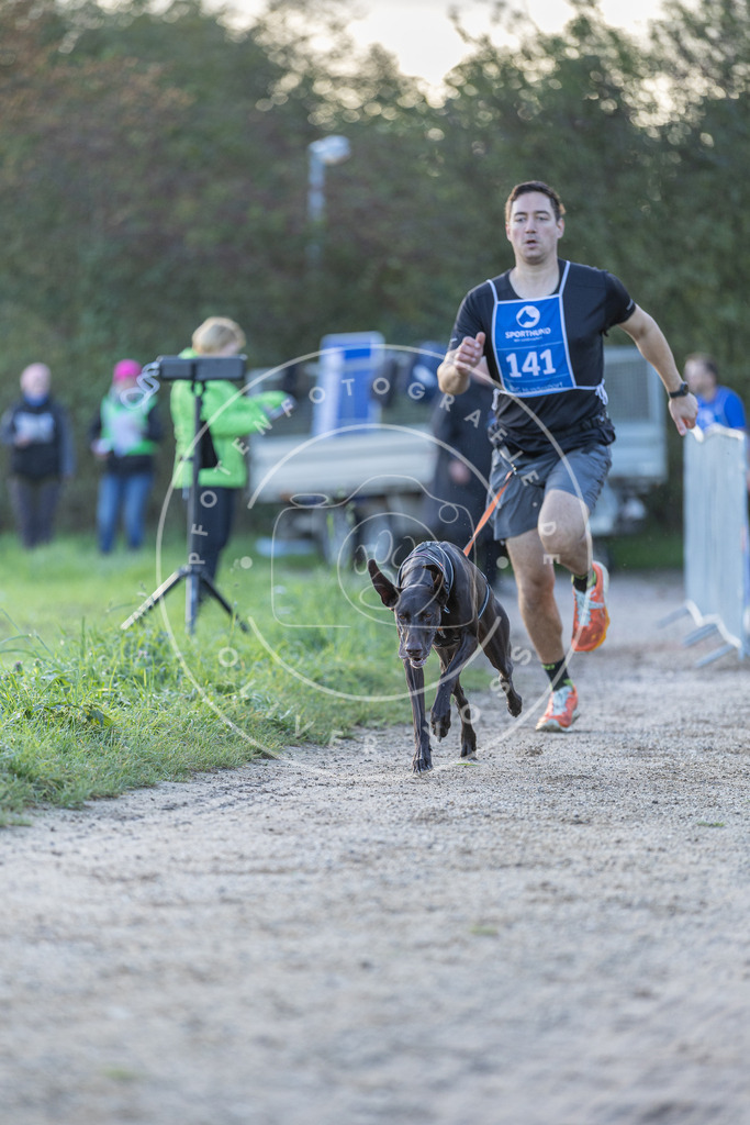 Pfotenfotografie.de_DV3A2818 | Hundefotografie, Tierfotograf, Pfotenfotografie, Fotoshooting Hund, Hunde Portrait, Hundesport, Hundeportraits, Heideshooting, Hunde, Sportfotograf, Hundefotograf, Turnierhundsport, THS, canicross - Realisiert mit Pictrs.com