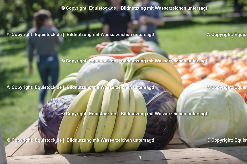 ZFC_3928 | equistock