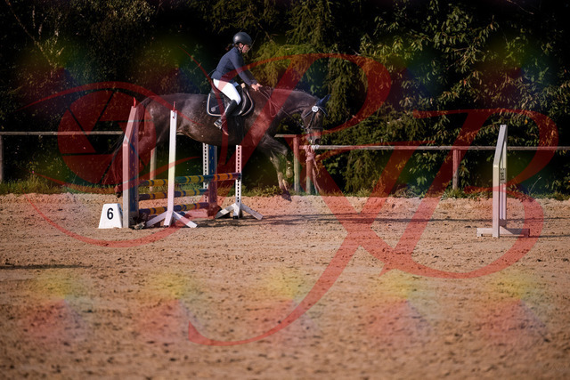 2026_10_03_Siefer-Hof_160143_Z81_82732339 | Professionelle Reitsport-, Turnier- und Eventfotografie von Robert Broda. Galerien mit ausgewählten und bearbeiteten Bildern direkt online ansehen und bestellen.