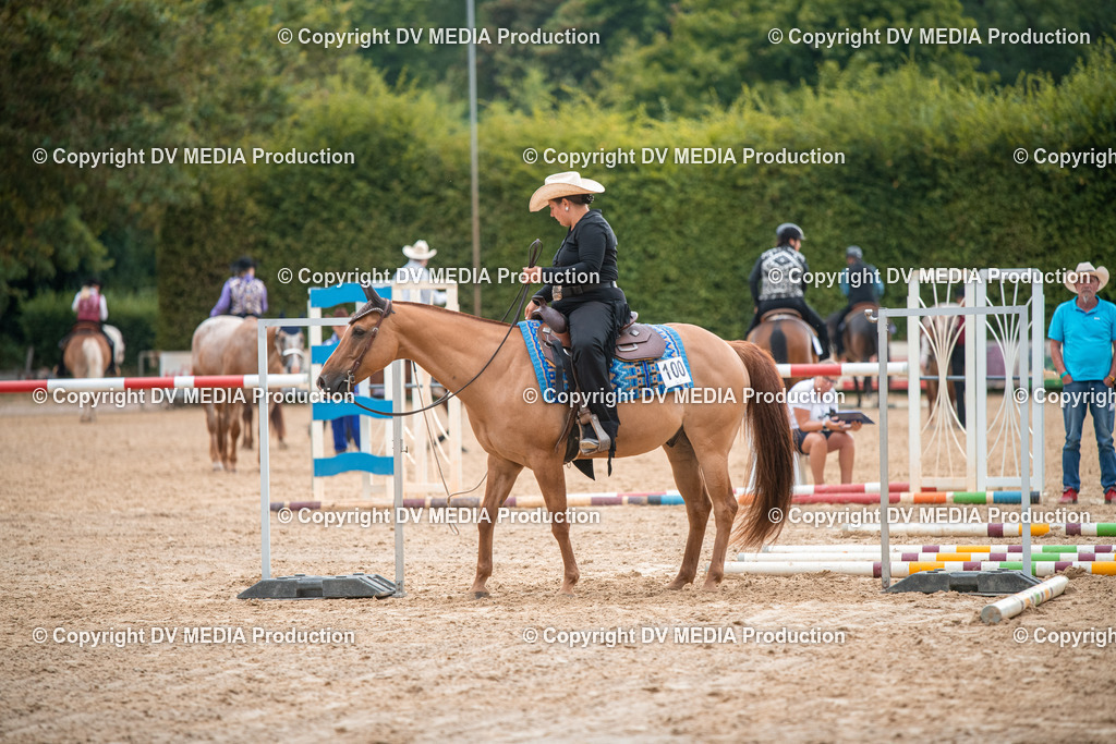 ZS2_7420 | dv-media-shop - Realisiert mit Pictrs.com